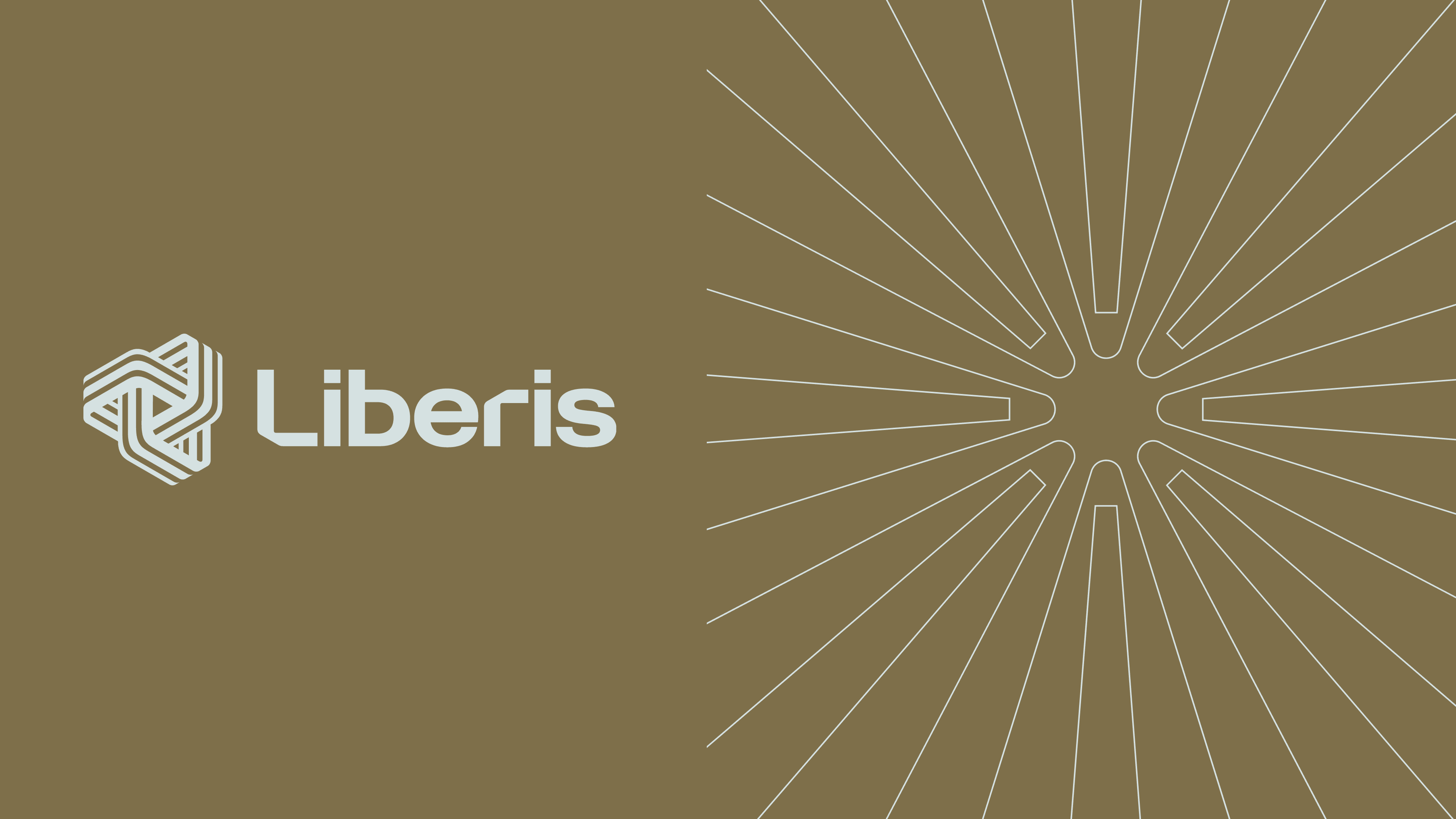 Customer Story: Liberis